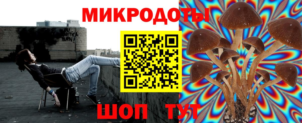 Галлюциногенные грибы ЛСД  Псилоцибиновые грибы Cubensis  Вход с VPN  Благовещенск 