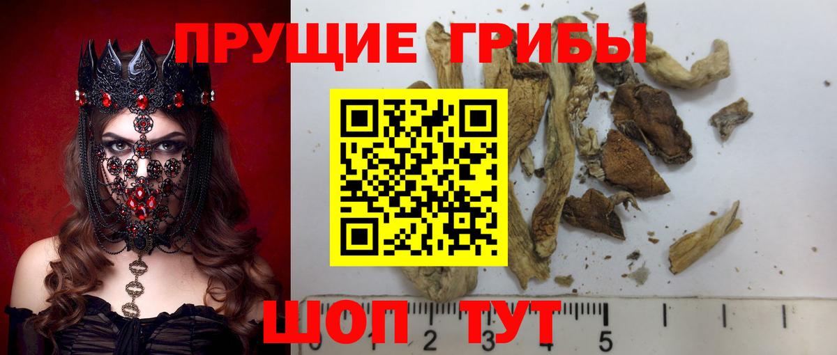 Псилоцибиновые грибы мухоморы Благовещенск